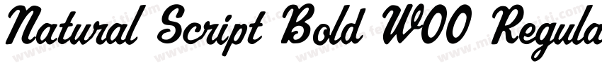 Natural Script Bold W00 Regular字体转换